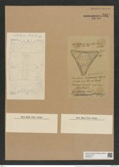 Triceratium fenestratum Witt. (de-Toni-Nr.: Genus 140, Species 3875) Zeichnungen Sammlung Grunow Nr. 7357 (NHMW-BOT-W0376413)